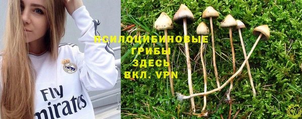 твердый Киренск