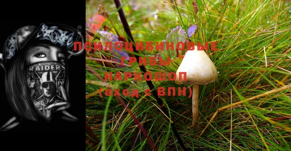 таблы Пересвет