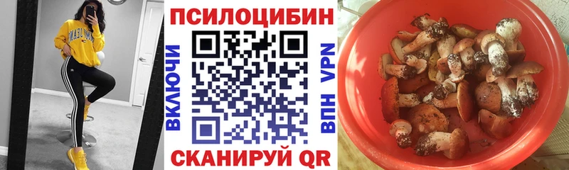 Псилоцибиновые грибы Magic Shrooms  Кизляр 